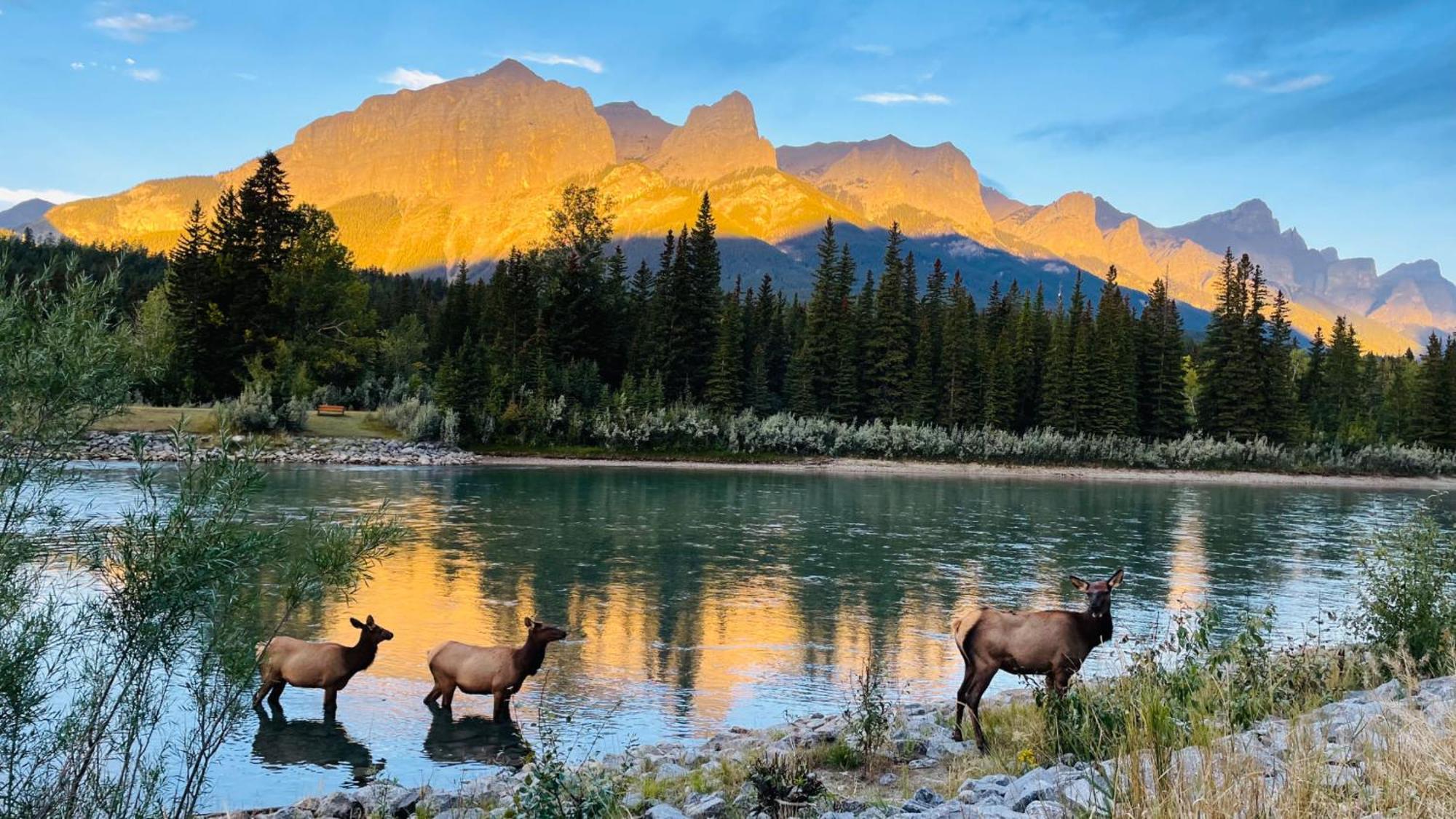 Apartamento Unit #201 Cozy Mountain View 1Br In Dt Canmore Exterior foto